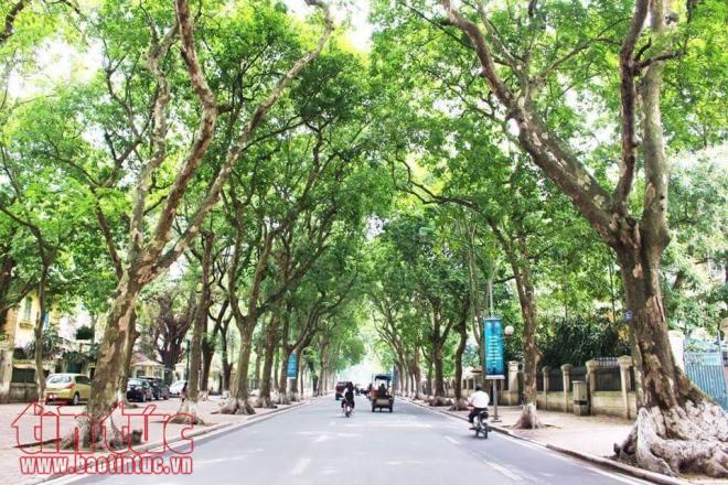Những khoảnh khắc Hà Nội đẹp tĩnh lặng ảnh 3